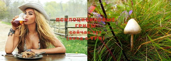 spice Баксан